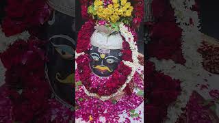 shiv love mahakaldham mahakal youtubeshorts youtube youtubechannel [upl. by Maisel]