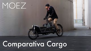 Qual è la Cargo eBike più adatta a te [upl. by Akirej]