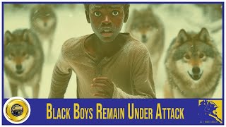 Black Boys Remain Under Attack [upl. by Cranford]