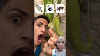 REACT  Quais insetos a planta carnívora come😱shorts challenge [upl. by Volpe]