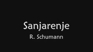 R Schumann Sanjarenje [upl. by Canter]