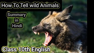 ewns class How to tell wild animals hindi summary How to tell wild animals class 10 poem [upl. by Noet]