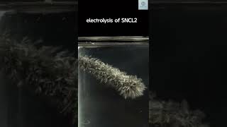 Electrolysis of sncl2 🥰✨👍🏻 science [upl. by Nadroj]