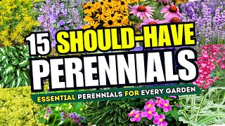 Top 15 Perennials Every Garden SHOULD HAVE 💫 Essential Plants Your Garden Cant Do Without 🌻 [upl. by Knowland]