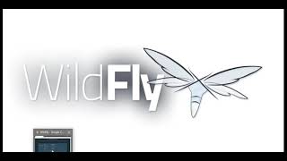 WildFly application server installation  Usercreation  run server  jboss [upl. by Roque]