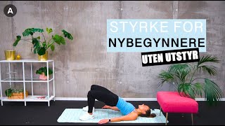 Styrketrening for nybegynnere uten utstyr💦  Disse øvelsene kan ALLE gjøre [upl. by Amre]