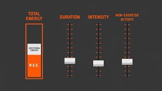 Resting Energy Expenditure [upl. by Rehpotsirhc]