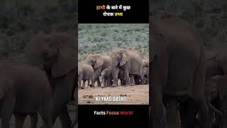 हाथी के बारे में कुछ रोचक तथ्य   Amazing Facts  Fact Focus World  facts ytshorts [upl. by Wertz]