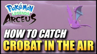 Pokemon Legends Arceus  How To Catch Crobat In The Air  Pokedex Task [upl. by Dnalkrik]