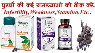 Kapikachhu Uses Benefits Dosage Side Effects  Infertility  Mucuna Pruriens  Himalaya✅ [upl. by Feodora]