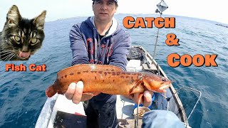 Catch amp Cook 3 Bearded Rockling Featuring Fish Cat [upl. by Otsuj]