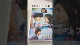 昔は映画のフライヤー集めてた！🎥懐かしい作品がいっぱい映画邦画フライヤー映画紹介 大学生の日常youtubeshorts pr ユーチュー部 [upl. by Aicilaf542]