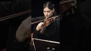 Scheherazade – RimskyKorsakov violin solo collegeofmusic unt concert orchestra music [upl. by Nalim]