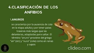 Los Anfibios [upl. by Gazo]