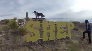 Shep—Our Most Loyal Dog Book Trailer [upl. by Kleiman]