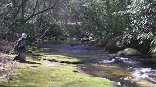 Fishing the East Prong Roaring Fork North CarolinaStone Mntn SP [upl. by Ennyl778]