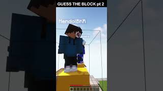 Guess The Block pt 2 in shorts minecraftshorts [upl. by Lockhart466]