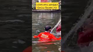 Clean Sabarimalai swamysaranam sabarimalaayyapan [upl. by Readus404]