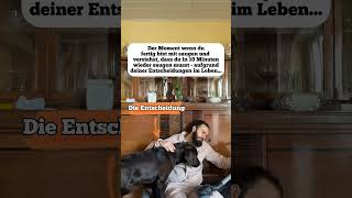 Kann mir hier irgendjemand helfen😭🐶 Es hört nicht auf dogdad labrador comedy [upl. by Nancy]