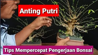 Tips Mempercepat Pengerjaan Bonsai Anting Putri ManeSmall [upl. by Nidroj]