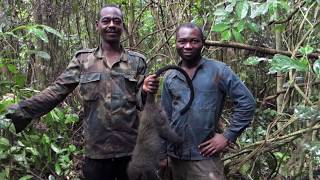 Histoire dune chasse  Cameroun [upl. by Buck]