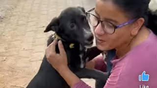 Pepsi ki eye mein eye flu Ho Gaya Hai streetdogbabies streetdogsofindia doglover dog dogowner [upl. by Story]