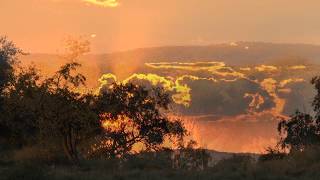 Hunting Eland Kudu and Warthog in Namibia  Preview Hunting Video [upl. by Devaney]