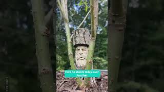 Regrowing A Carved Tree Stump 🌳😲 [upl. by Nonnahsed]