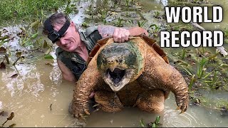 WORLD RECORD ALLIGATOR SNAPPING TURTLE  Dangerous Monster Catch With Bare Hands 200lbs [upl. by Iams41]