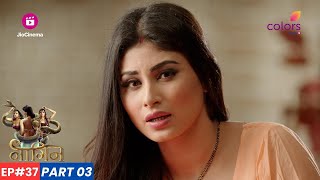 Naagin  नागिन  Episode 37  Part 3  Shesha ने Shivanya को Ritik का असली रंग दिखाया [upl. by Sadick616]