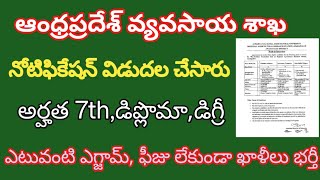 ap jobs notification 2024 ap agriculture dept recruitment 2024 ap jobs vacancy [upl. by Itsim]