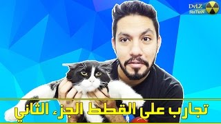 تجارب على القطط الجزء الثاني [upl. by Esiralc392]