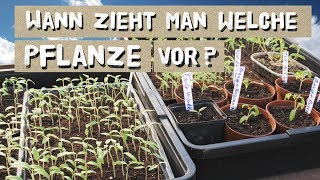 Wann welche Pflanze vorziehen Tipps zur Jungpflanzenvoranzucht [upl. by Esiole]