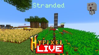 Hypixel skyblock stranded [upl. by Ericka]