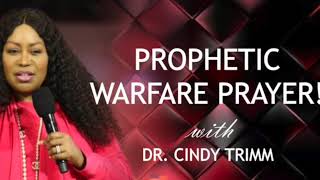 Dr Cindy Trimm Commanding Your Morning Prayer to pray with [upl. by Sisile]