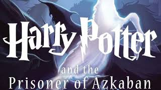 HARRY POTTER and the Prisoner of Azkaban Chapter 20The Dementors Kissharrypotter audiobook [upl. by Namurt]