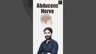 Abducens Nerve shorts utkarshnursing rajusir [upl. by Eniluj]