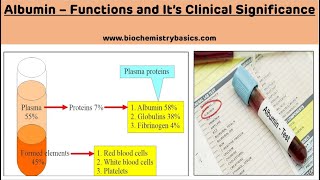 Biochemical Functions of Albumin  Clinical Significance of Albumin  Plasma Proteins [upl. by Azarcon]