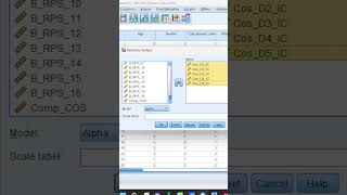 Reliability in spss reliability youtubeshorts viralvideo shorts [upl. by Goober]