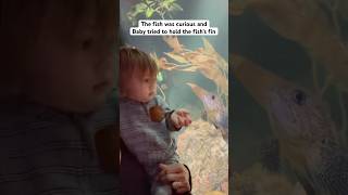 When baby met a fish at the aquarium cutebaby aquarium babyshorts fishtank babyvideos [upl. by Aday894]