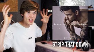 Strip That Down  Liam Payne  One Hour Song Challenge [upl. by Trub940]