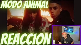 REACCION  MESITA CAZZU  MODO ANIMAL Video Oficial [upl. by Darraj]