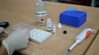 IB Biology on decomposition of Hydrogen Peroxide by enzyme catalase [upl. by Lyrem]