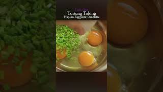 Tortang Talong A Filipino Eggplant Omelette Delight [upl. by Frasier]