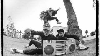 Beastie Boys  Sabrosa [upl. by Oneil]