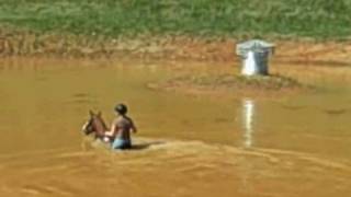 Swimming with horses at Sprieser Sporthorse [upl. by Nesnar996]