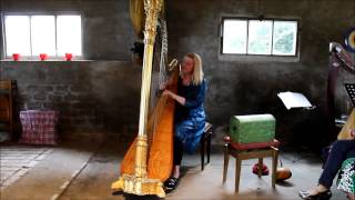 harpist Regina Ederveen plays Spanish Romance on harp [upl. by Maurreen766]