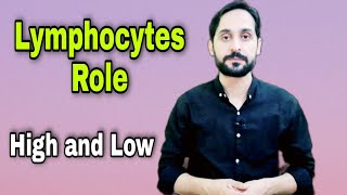 What is Lymphocyte  Role of Lymphocytes [upl. by Adiaz]