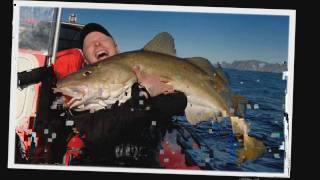 NORWAY COD FISHING  HALIBUT COAL FISH WOLF FISH LING  DREAM FISHING ADVENTURE HOLIDAYS [upl. by Koloski571]