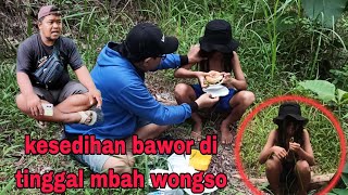 DUK4 BAWOR DI TINGGAL MBAH WONGSO suwajiofficial1608 [upl. by Zach271]